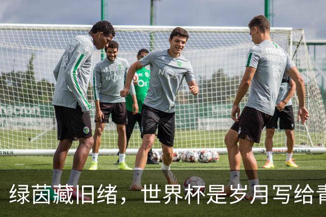 绿茵藏旧绪，世界杯是岁月写给青春的信