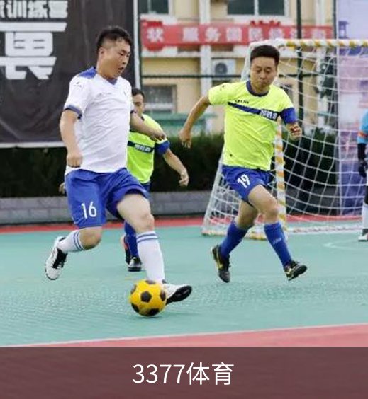 3377体育品牌故事